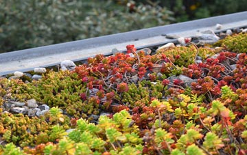the cost of Middleton Moor green roof installation