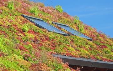 Middleton Moor living roof systems